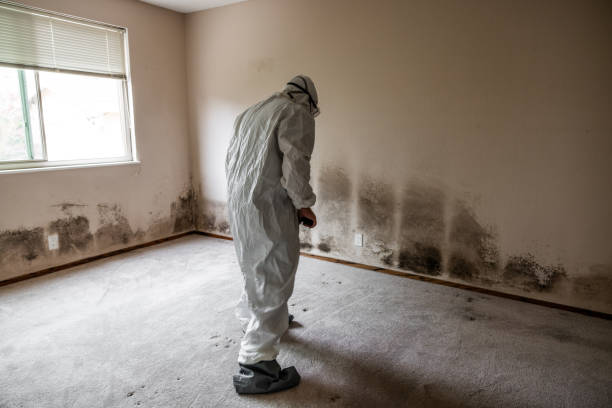 Best Mold Testing  in Los Alamitos, CA